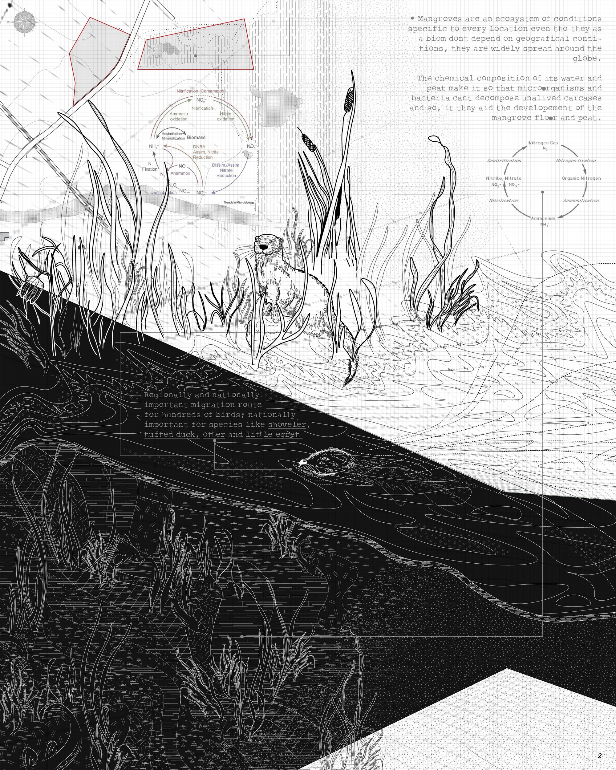 Concept - The In Between