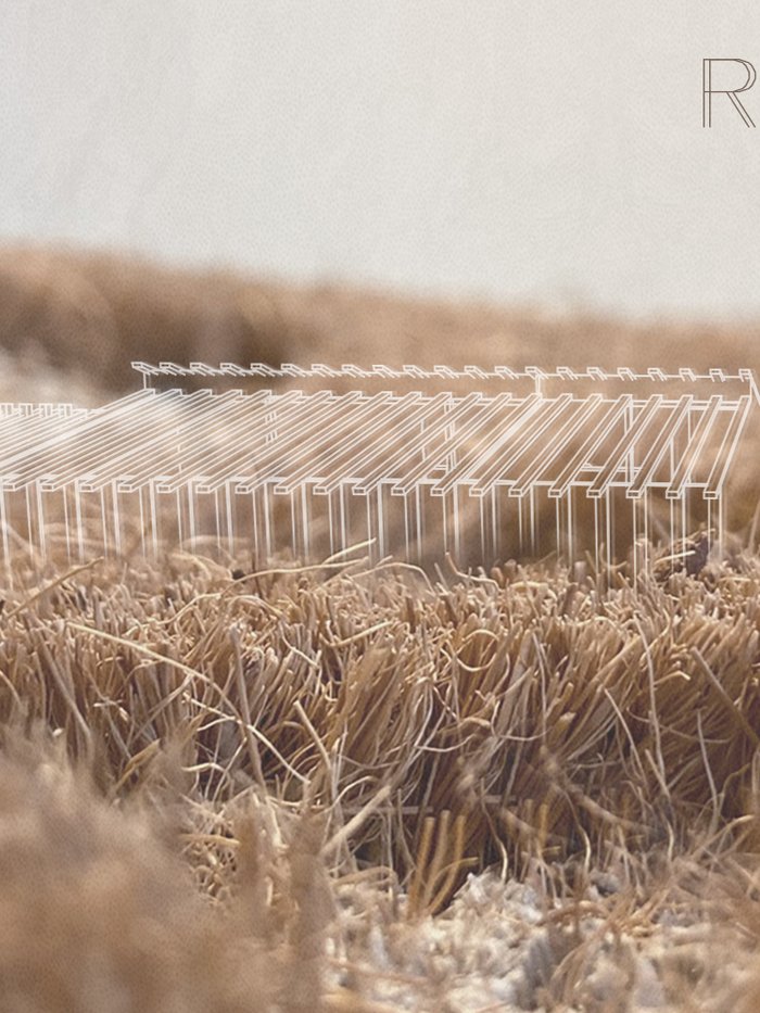 REED MAZE 
 workshop and research centre