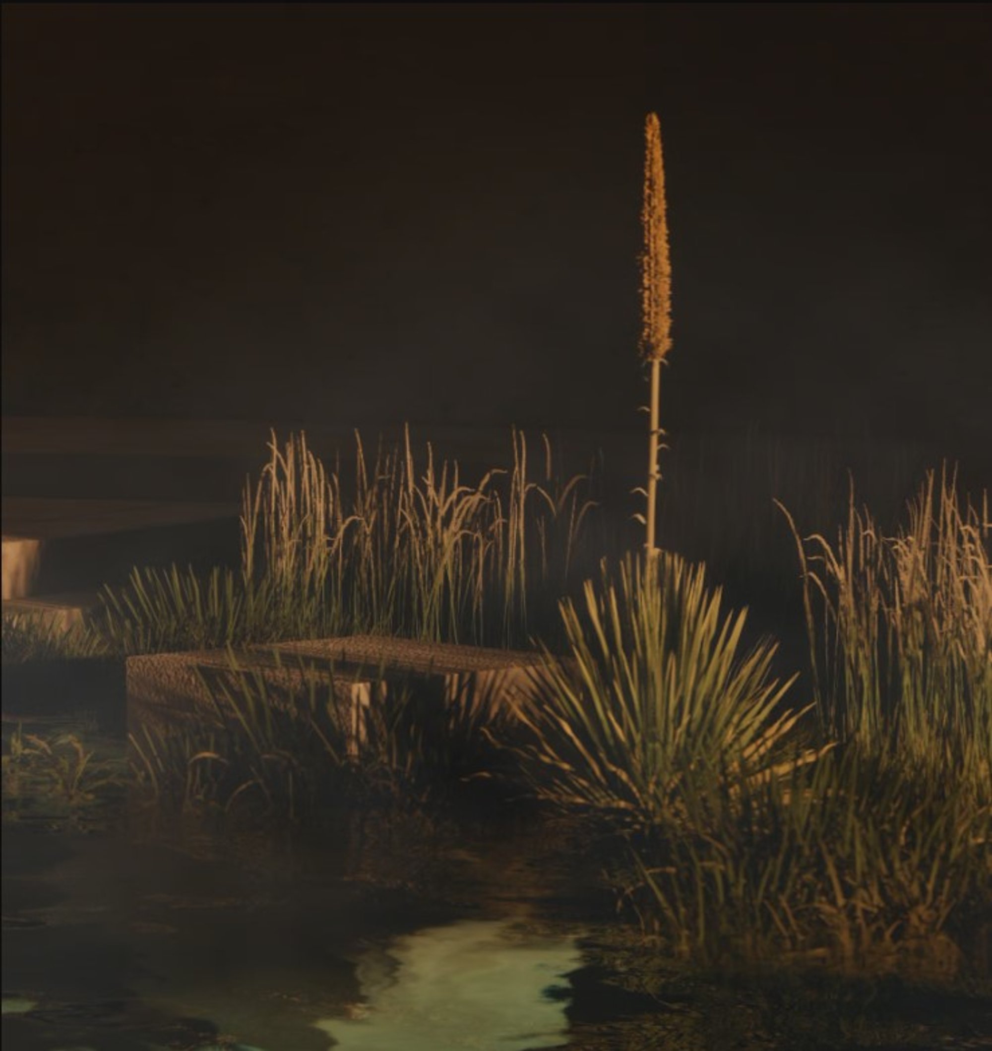 Image 33