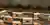 TREESPACE