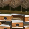 TREESPACE