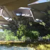 Living Ledges