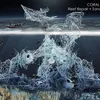 Coral Spine