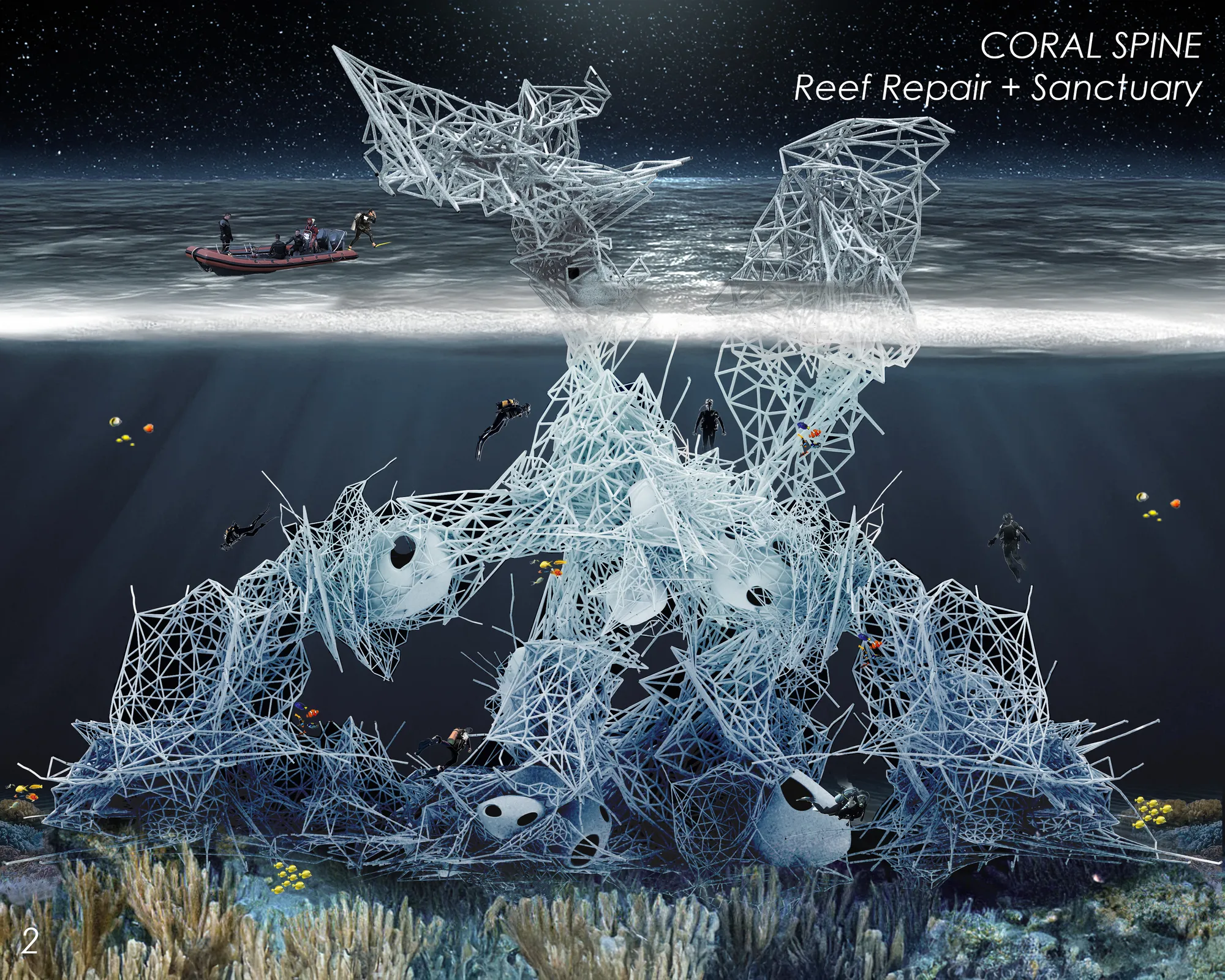 Coral Spine