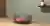 ArcNest Pet Bed