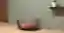 ArcNest Pet Bed