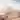 Desert Architecture icon