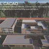 CAMINO DEL CACAO