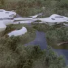A Journey Beneath the Surface
