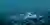 Underwater Sanctuaries