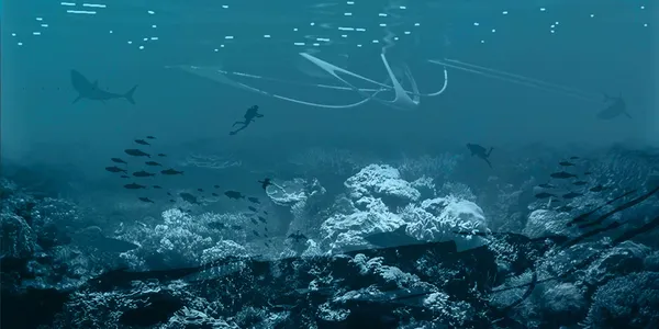 Underwater Sanctuaries