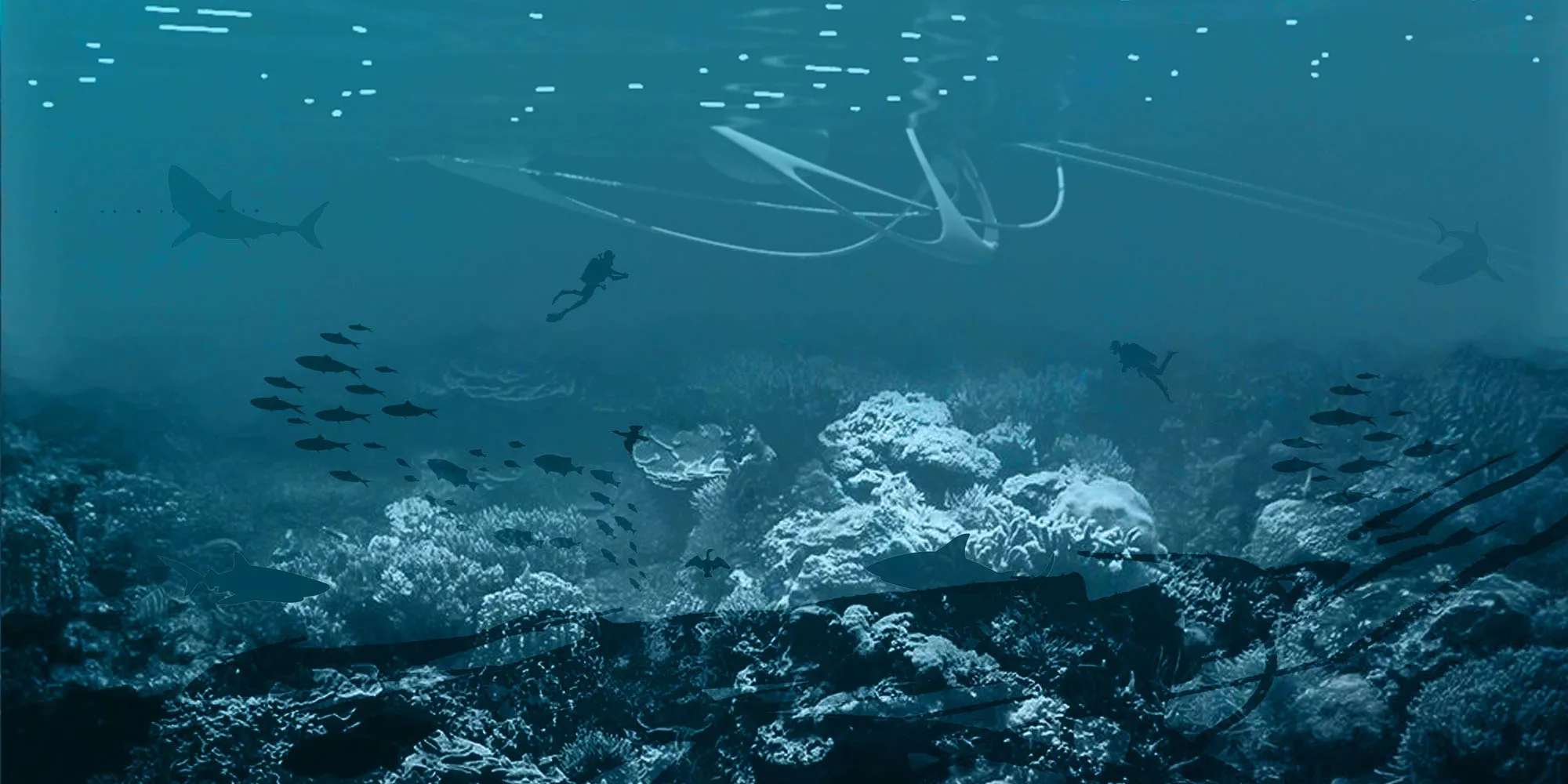 Underwater Sanctuaries