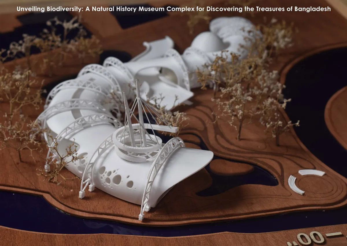 Unveiling Biodiversity: A Natural History Museum 