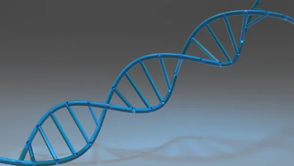 DNA Stand
