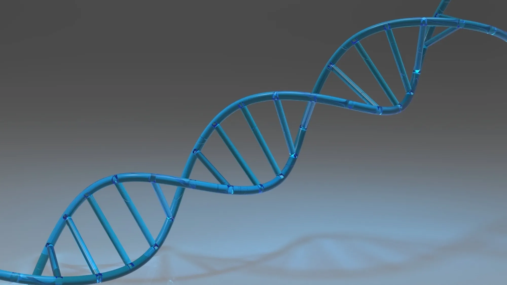 DNA Stand