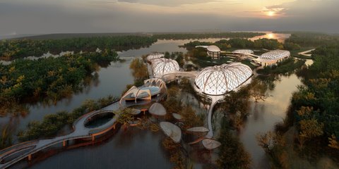 Aquatecture