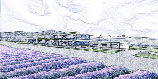 Essential Oil Distillery