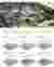 From Idea to Form: Concept and Diagrams