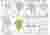 Image 23