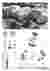 Spatial Organization