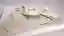 Multipurpose Sport Facility