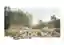 Transform the BARRIER to MULTI - JUNCTION - Rewilding South Bermondsey