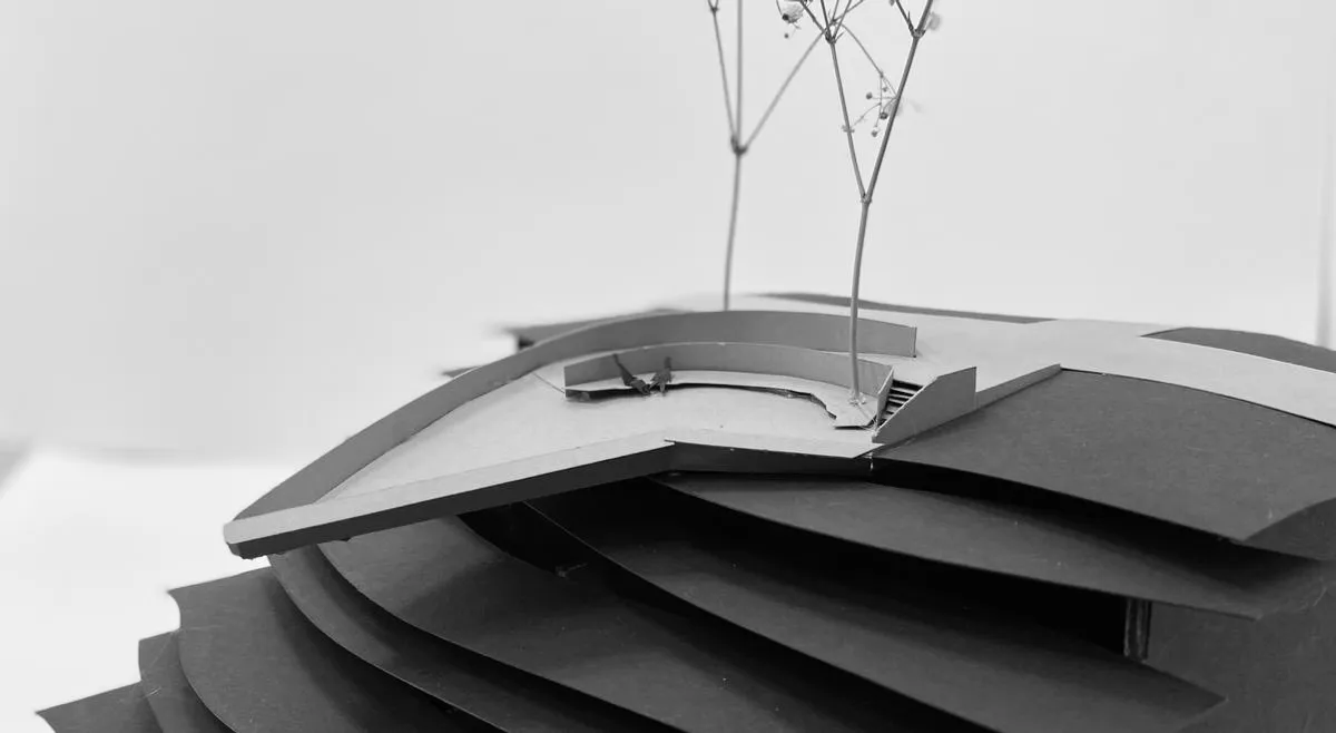 The Leaf Viewing Platform