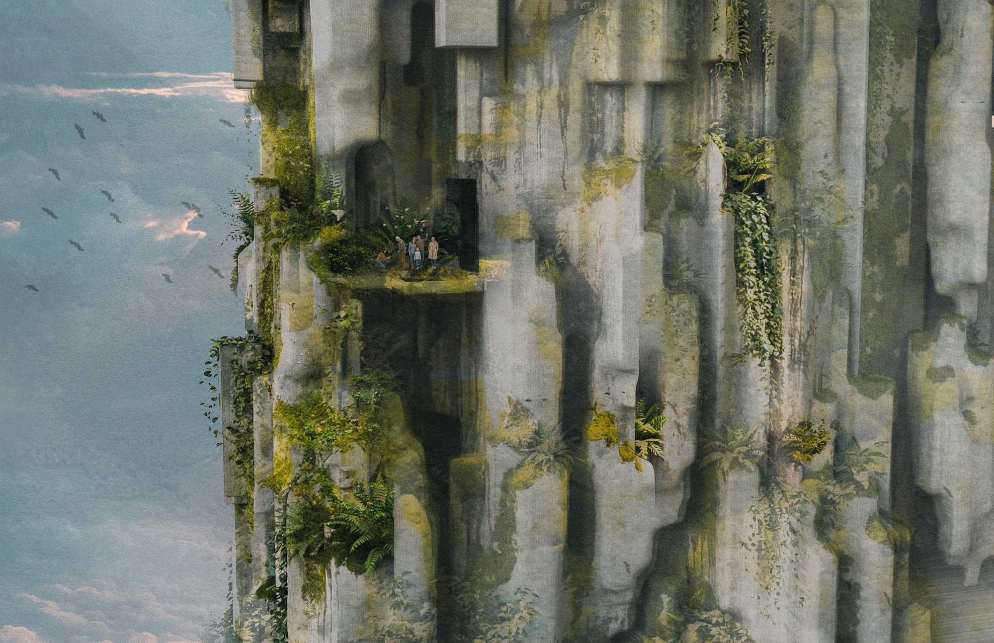 Image 12