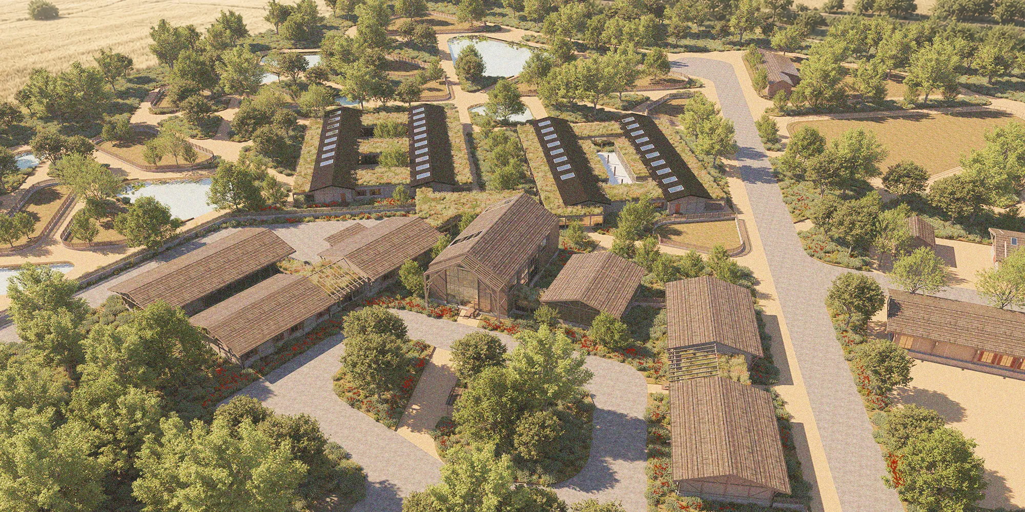 THE POPPY FIELDS. Architecture of care