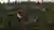 CODA