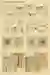 3rd board