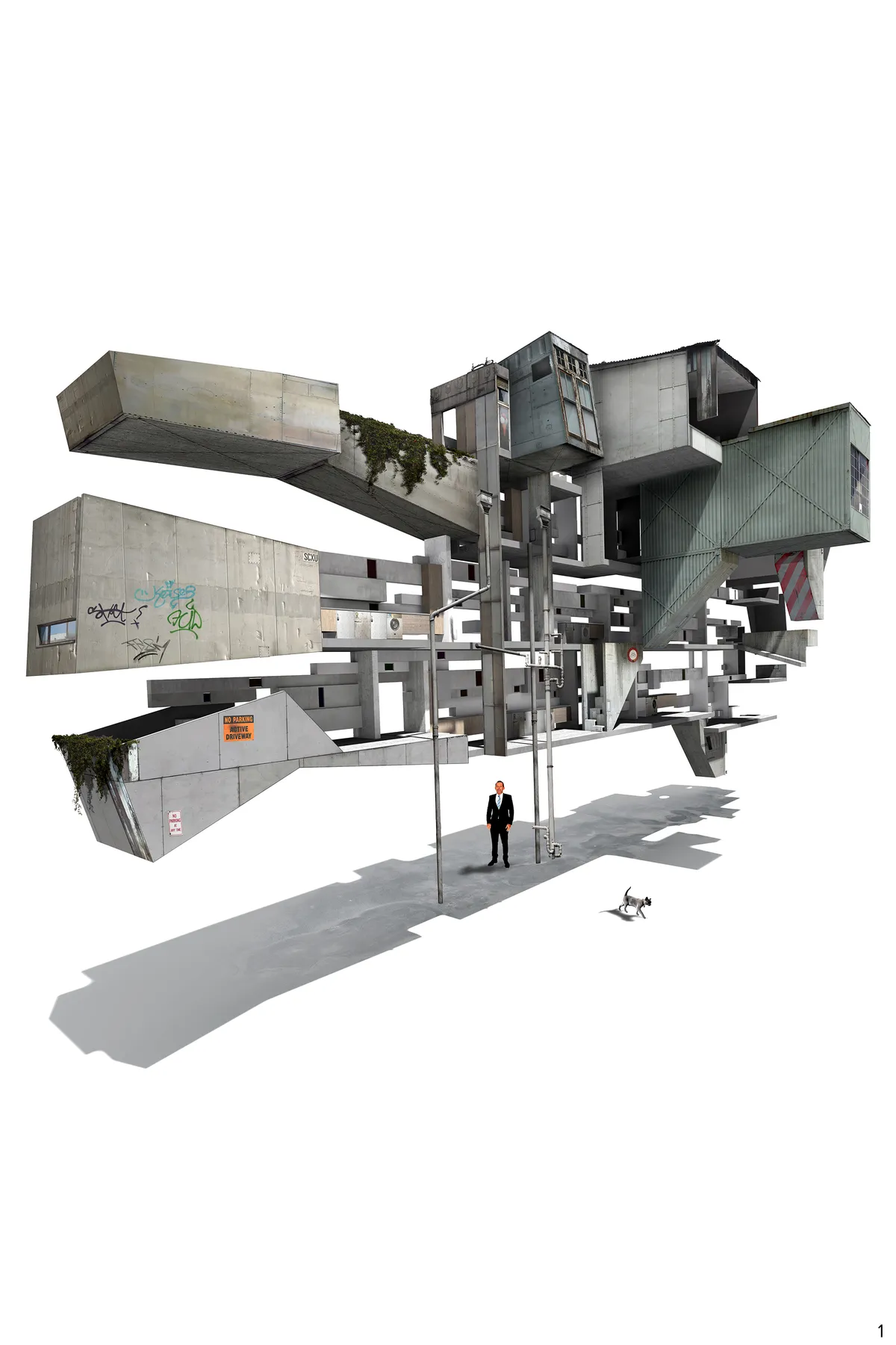 Project image