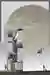 Decussate Dorm