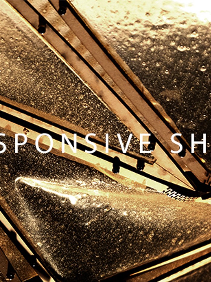 RESPONSIVE SHELL