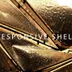 Concrete Shell icon