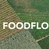 Future of food icon