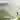 Biomorphism icon