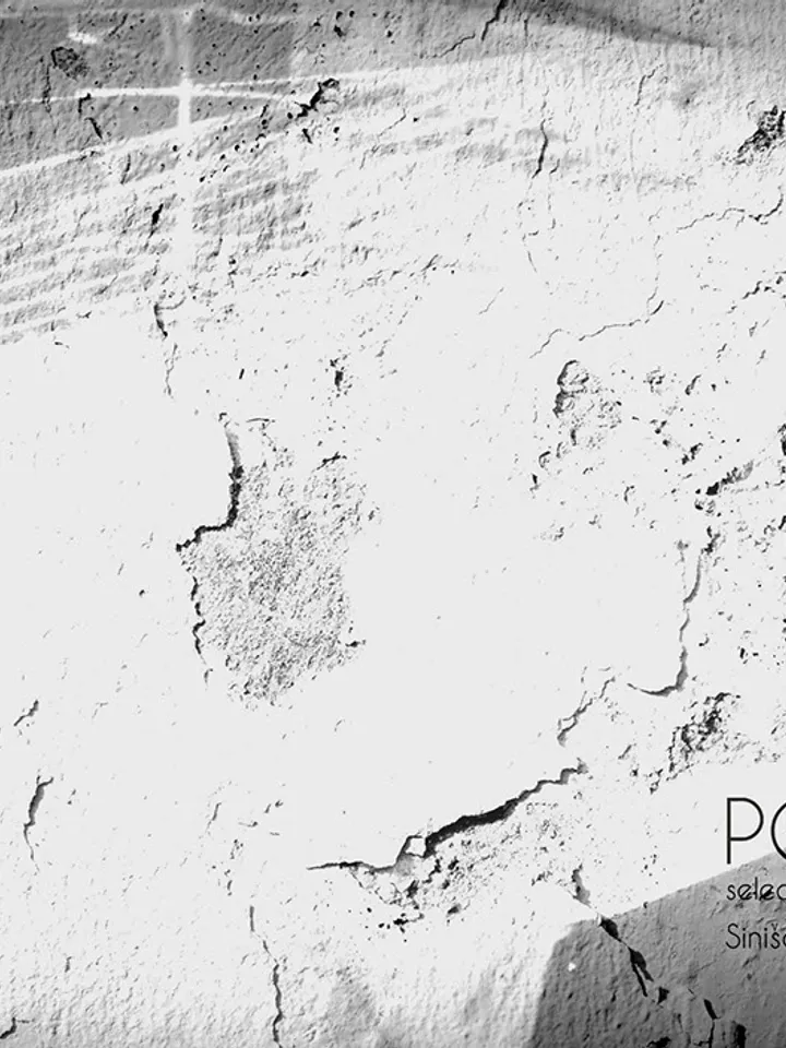 PORTFOLIO 2019