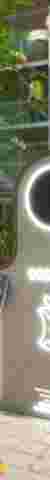 The Smart Bin