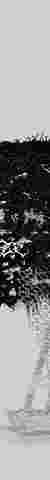 A Slow Black Metamorphosis : unbuilding and regenerating
