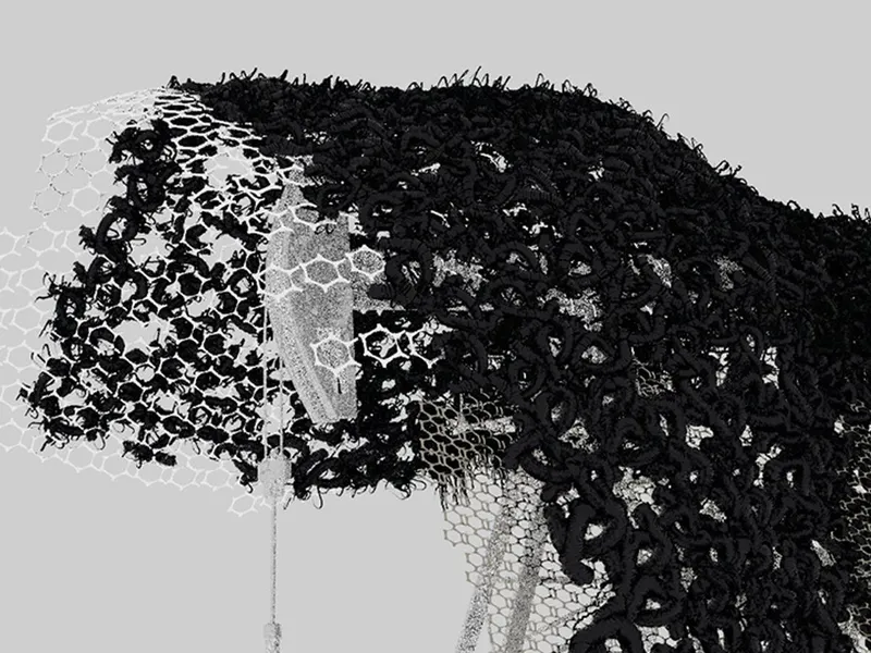 A Slow Black Metamorphosis : unbuilding and regenerating