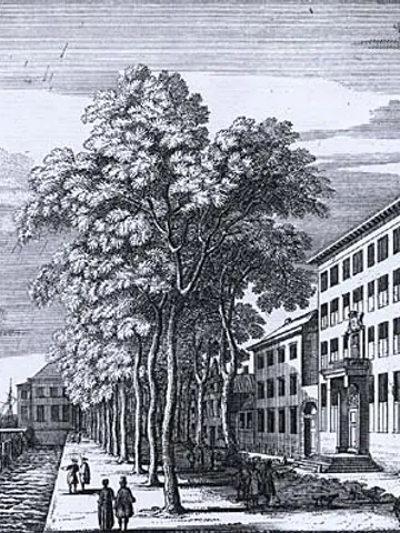 Very Tall Wooden Buildings with Cross Laminated  Timber