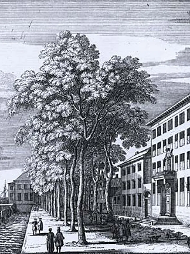 Very Tall Wooden Buildings with Cross Laminated  Timber