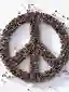 An Architecture towards Peace_The symbiosis between architecture and conflict / peace