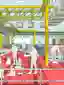 Super Factory·Community·School