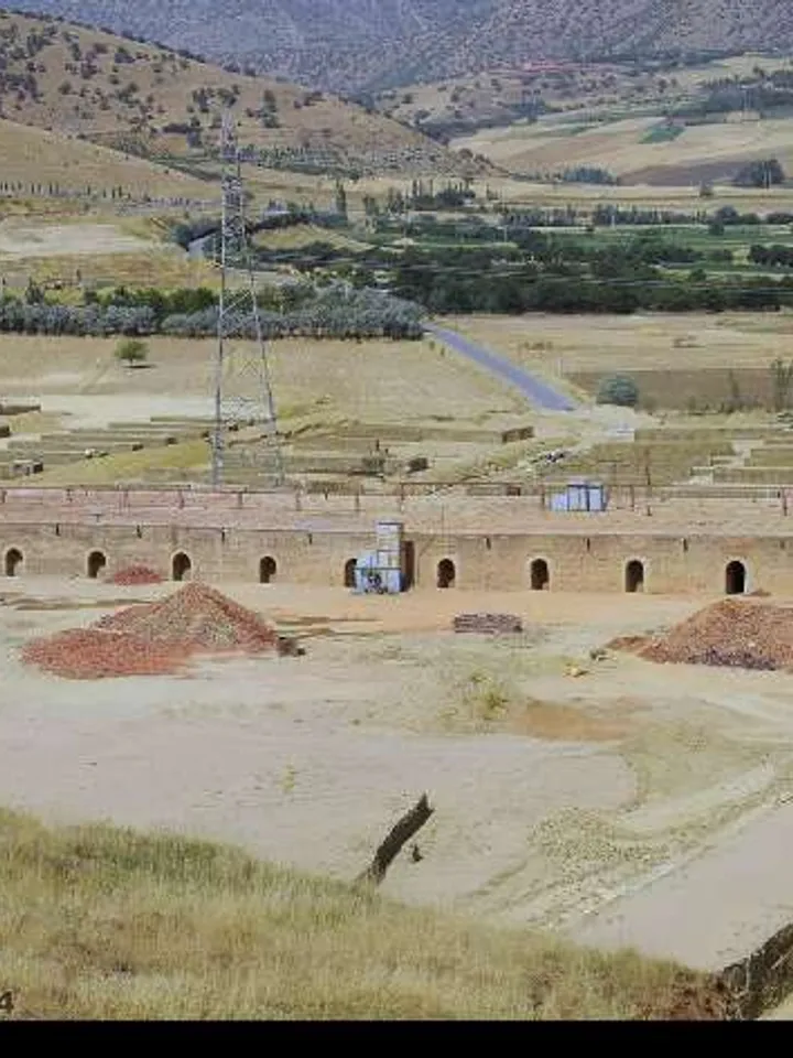 Farm urban