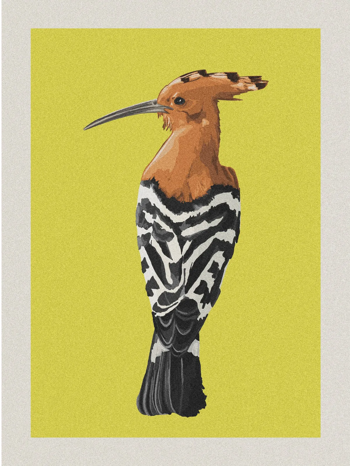 educational posters - highlighting the local biodiversity