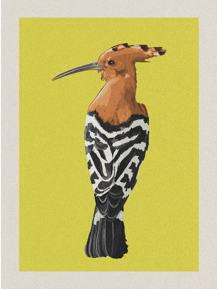 educational posters - highlighting the local biodiversity