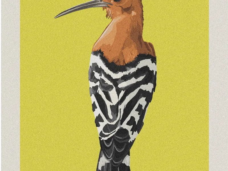 educational posters - highlighting the local biodiversity