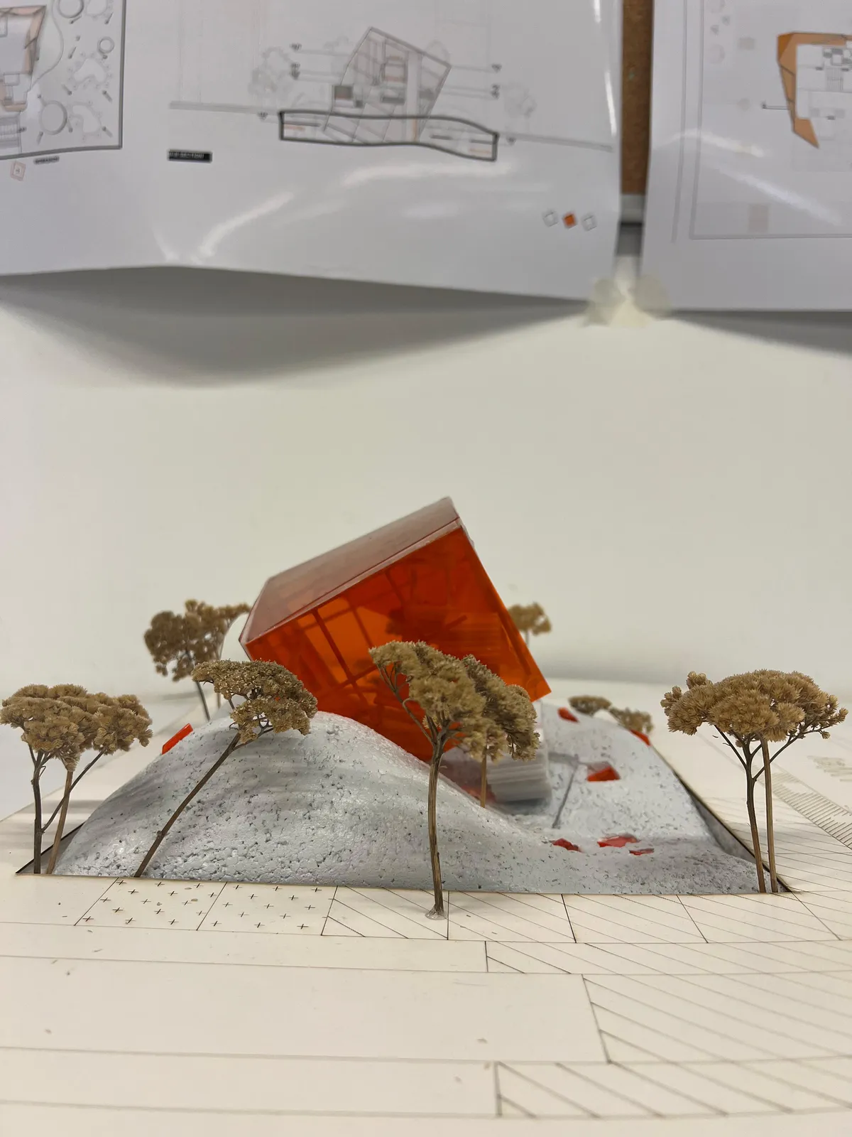 layout 1